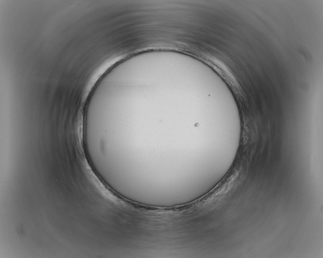 X0000115800804200911131021
