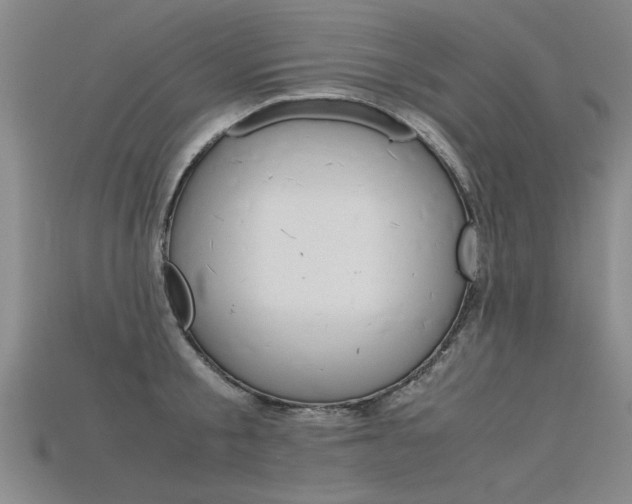 X0000115800805200911131021
