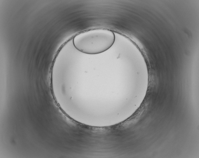 X0000115800807200911131021