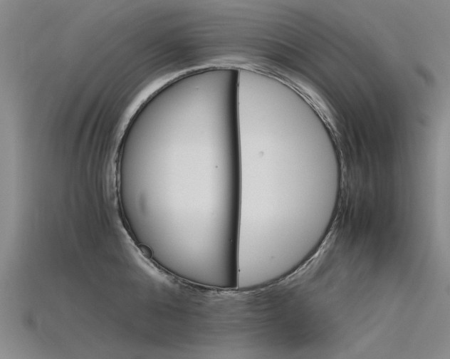 X0000115800808200911131021