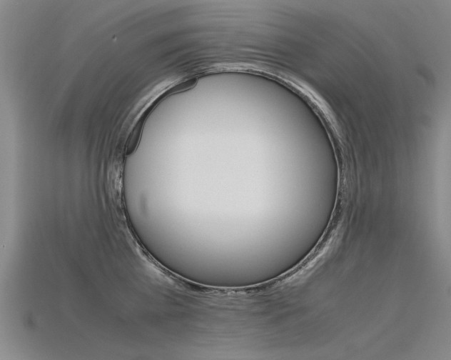 X0000115800809200911131021