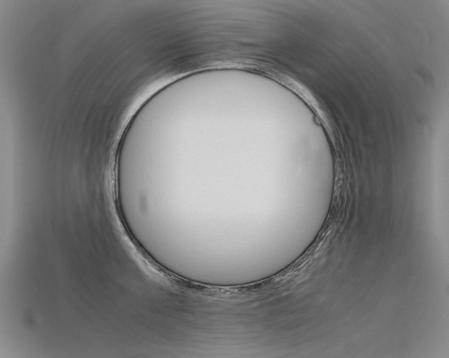 X0000115800811200911131021