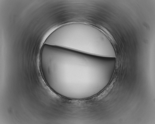 X0000115800812200911131021