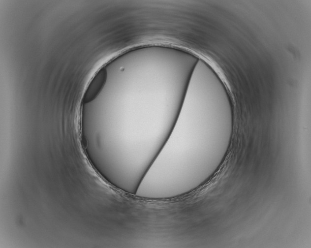 X0000115800815200911131021