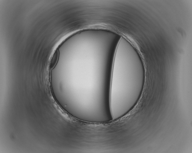 X0000115800816200911131021