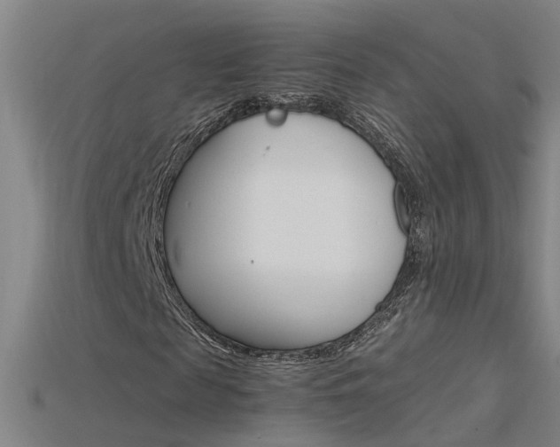 X0000115800817200911131020