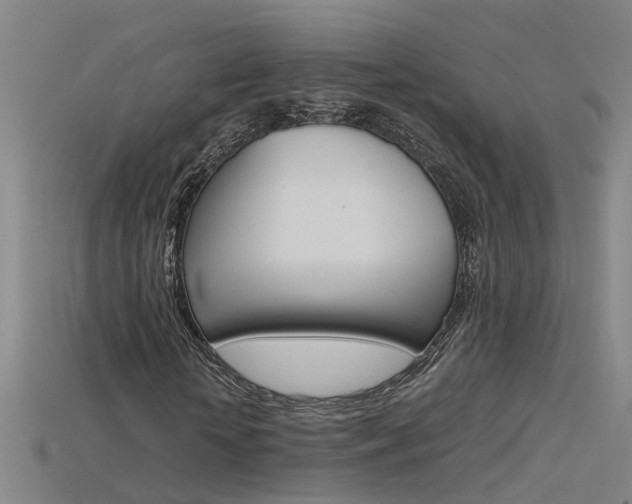 X0000115800818200911131020