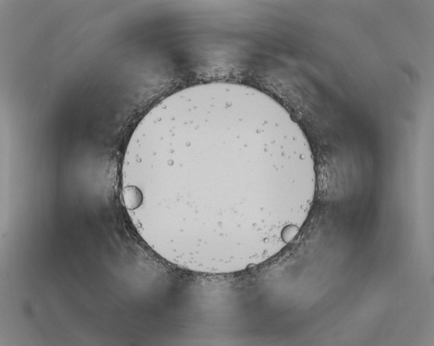 X0000115800820200911131020