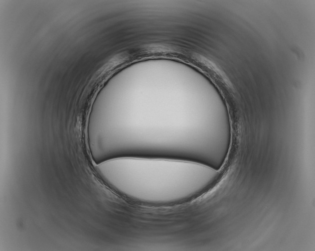 X0000115800825200911131020
