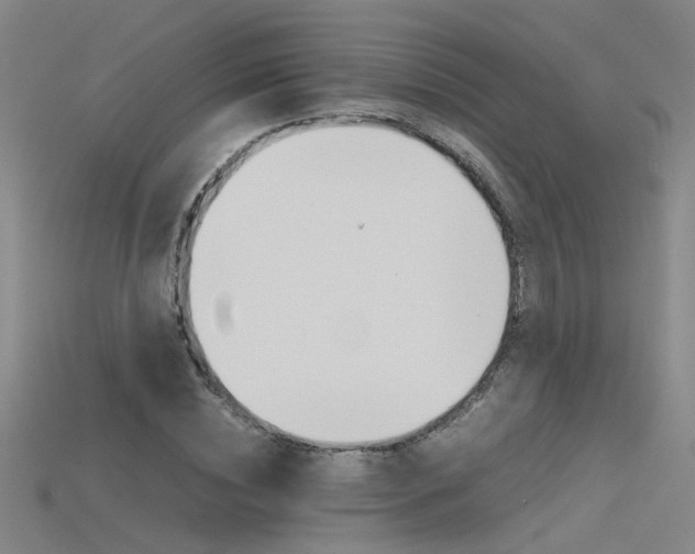 X0000115800828200911131020
