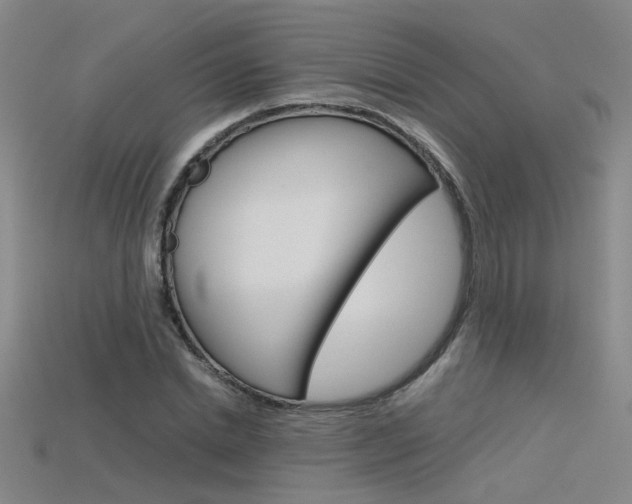 X0000115800830200911131020