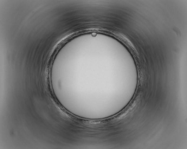 X0000115800831200911131020