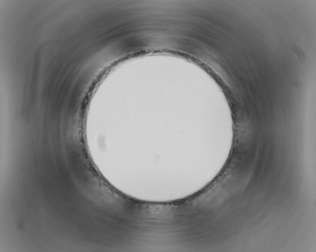 X0000115800832200911131020