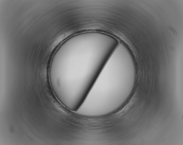 X0000115800834200911131020