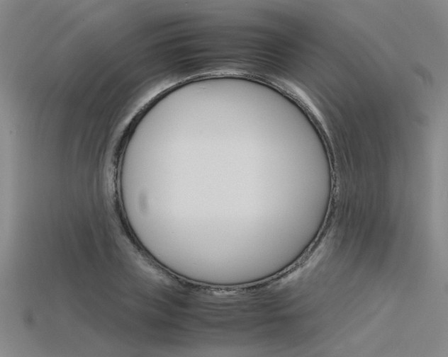 X0000115800835200911131020