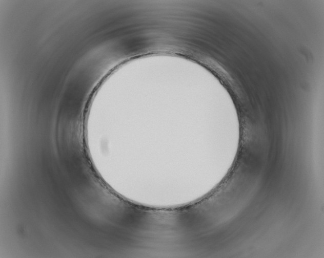 X0000115800836200911131021