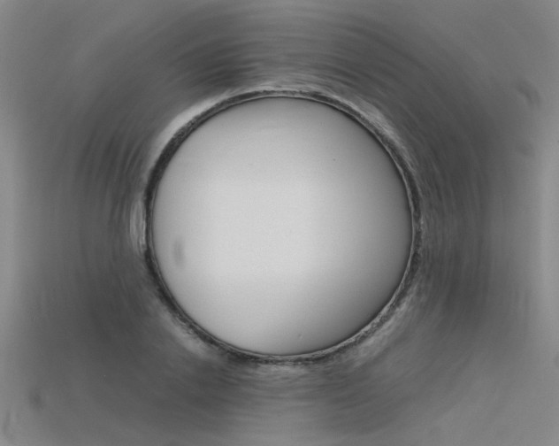 X0000115800838200911131021