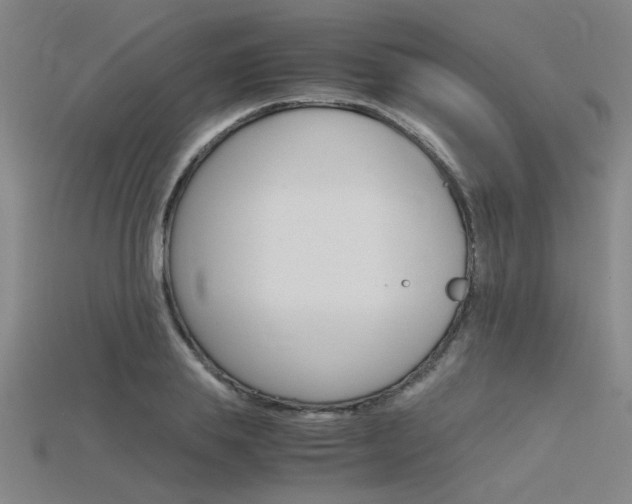 X0000115800839200911131021