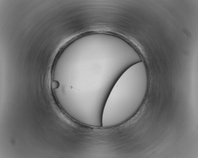X0000115800840200911131021