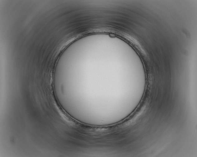 X0000115800841200911131021