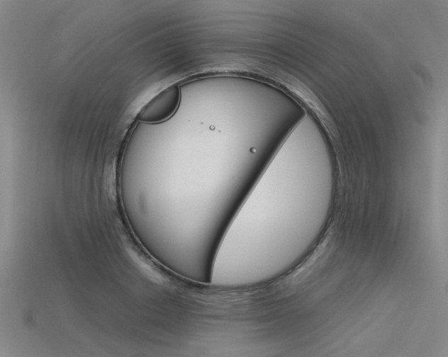 X0000115800842200911131021