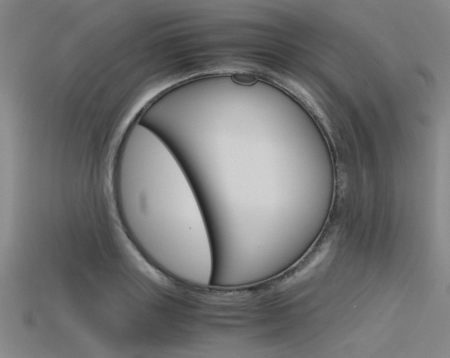 X0000115800843200911131021