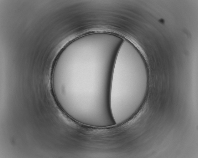 X0000115800845200911131021