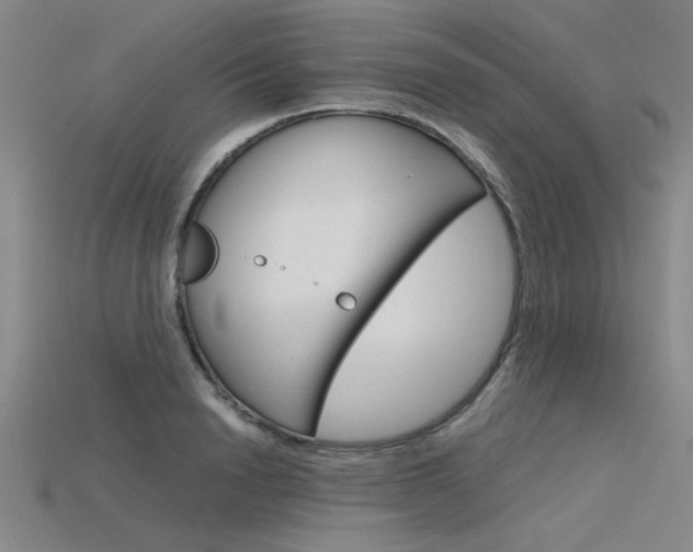 X0000115800846200911131021