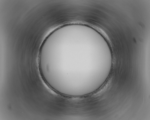 X0000115800847200911131021