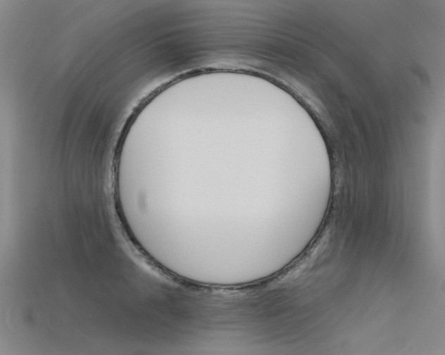 X0000115800848200911131021