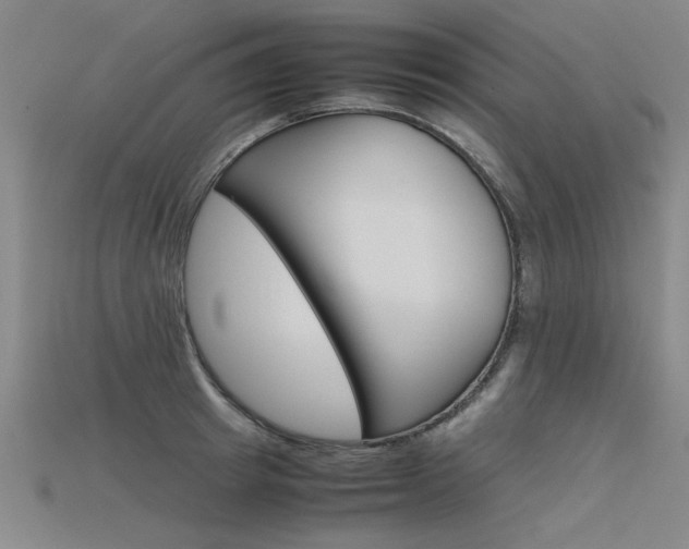 X0000115800849200911131021