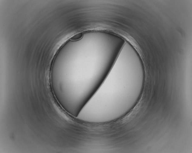 X0000115800850200911131021