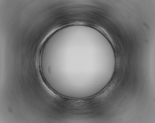 X0000115800851200911131021