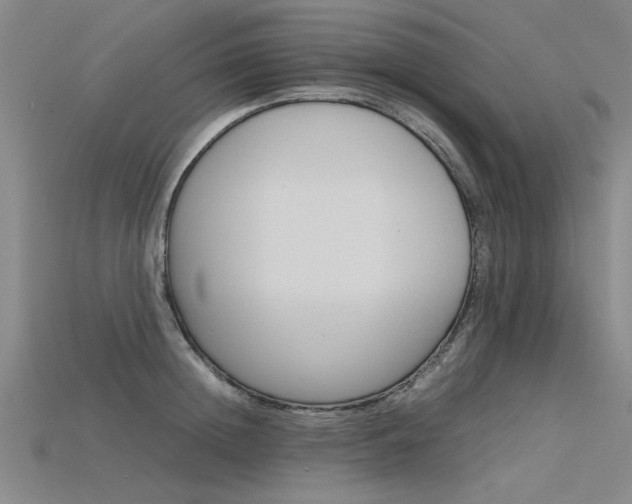 X0000115800852200911131021