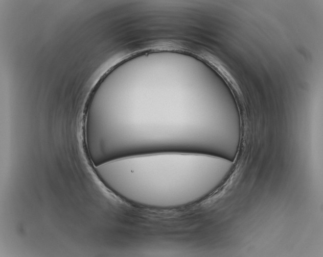 X0000115800853200911131021