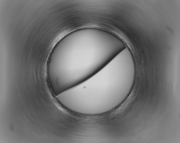 X0000115800858200911131021