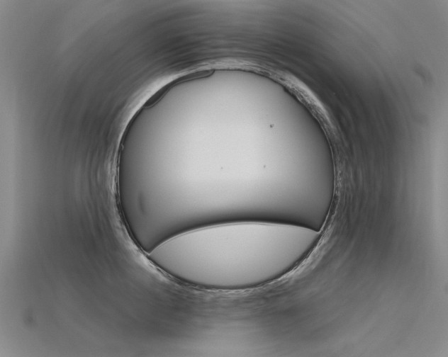 X0000115800860200911131021