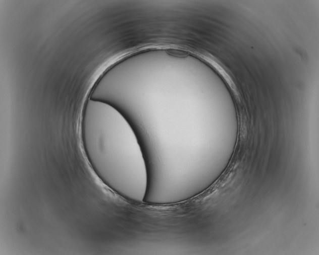 X0000115800861200911131021