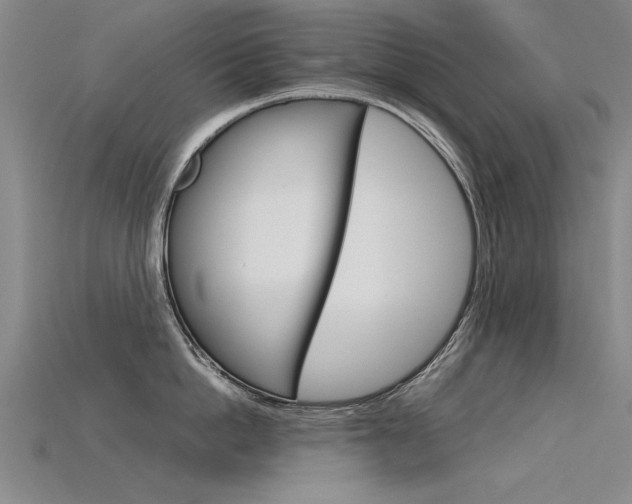 X0000115800862200911131021