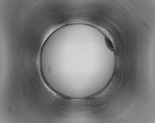 X0000115800863200911131021