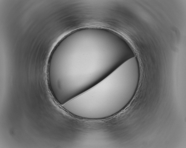 X0000115800864200911131021
