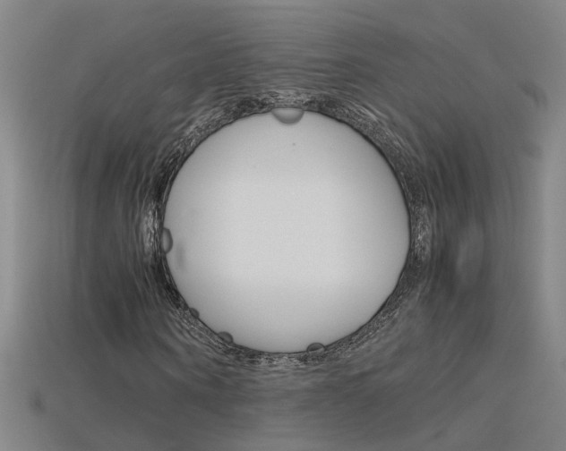 X0000115800866200911131020