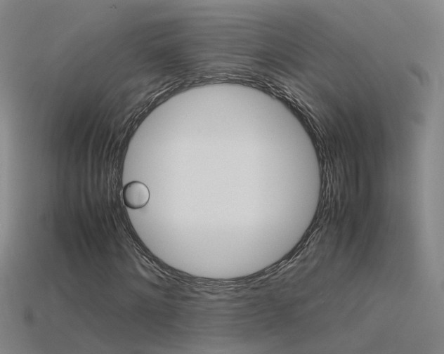 X0000115800868200911131020
