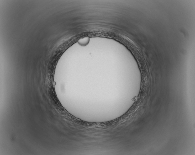 X0000115800869200911131020