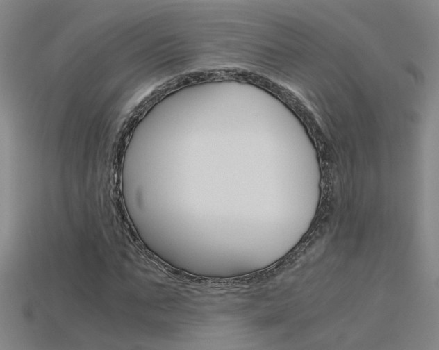 X0000115800871200911131020