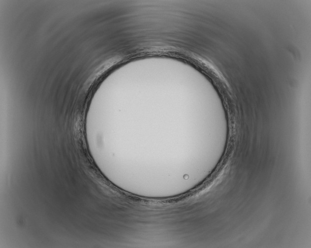 X0000115800873200911131020