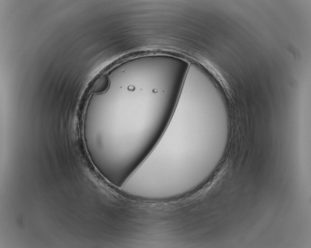 X0000115800876200911131020