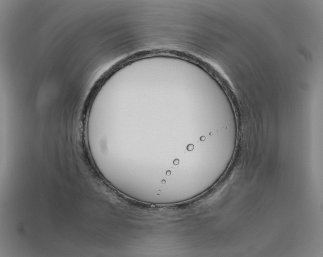 X0000115800879200911131020