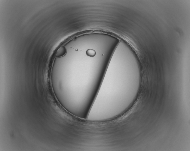 X0000115800880200911131020