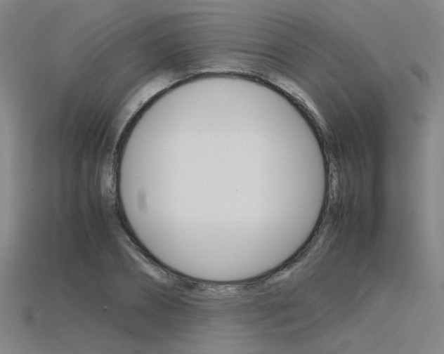 X0000115800882200911131020